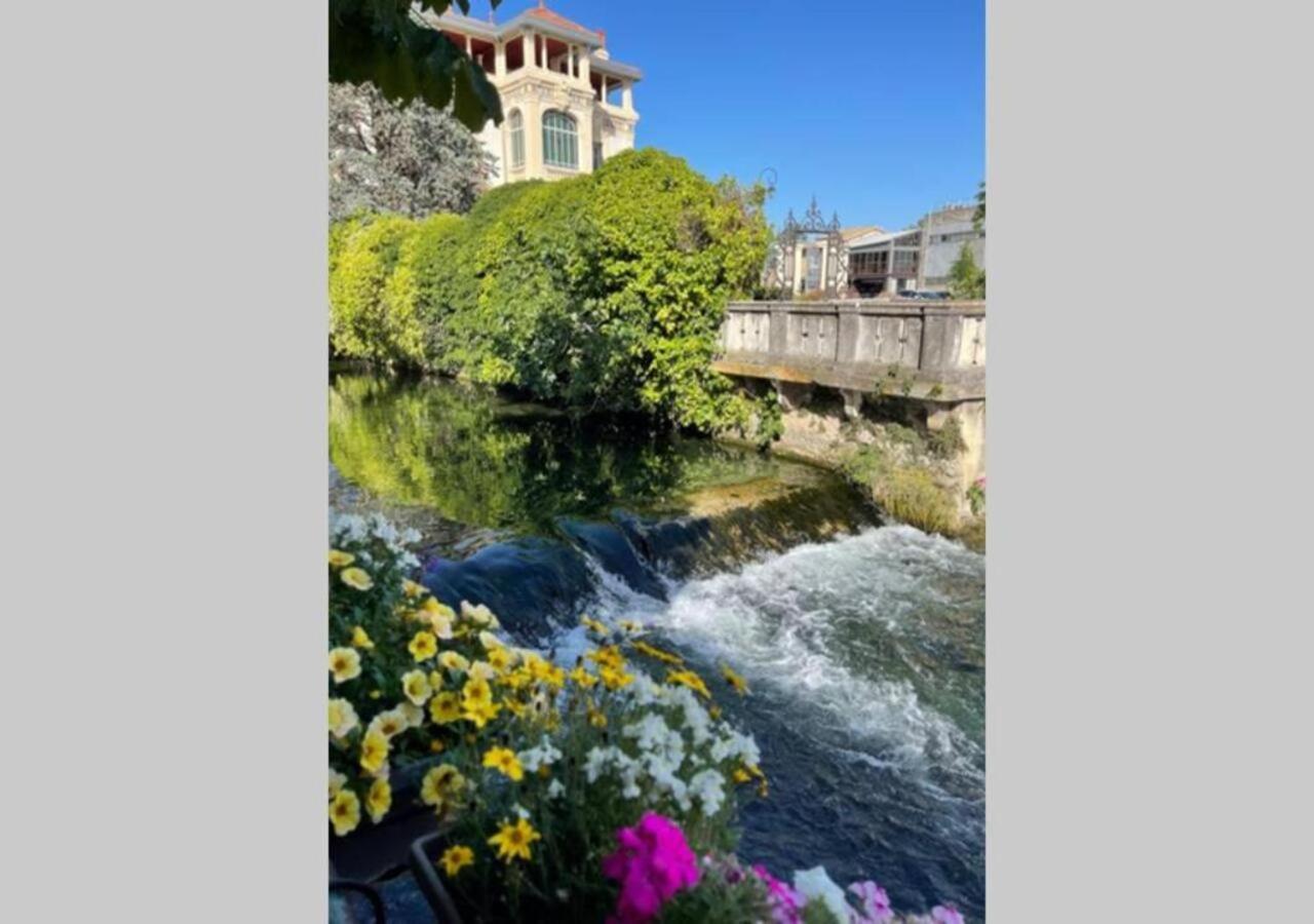 Villa L' Isle Sur La Sorgue Coeur Luberon Provence LʼIsle-sur-la-Sorgue Exterior foto